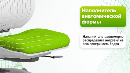 Наполнитель анатомической формы