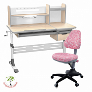 Комплект Anatomica Genius парта + кресло + надстройка + выдвижной ящик + подставка для книг Комплект Anatomica Genius парта + кресло + надстройка + выдвижной ящик + подставка для книг